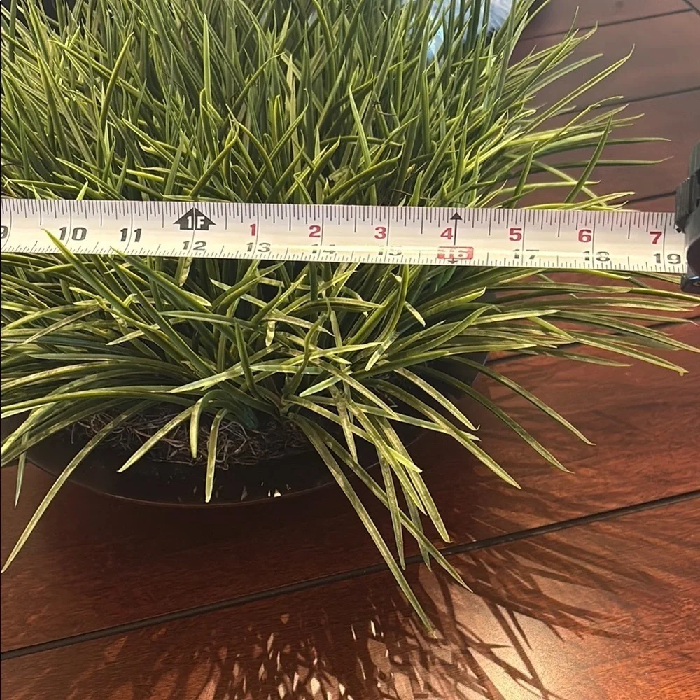 Artificial Green Grass Plant in Decorative Wood Pot from Haverty’s